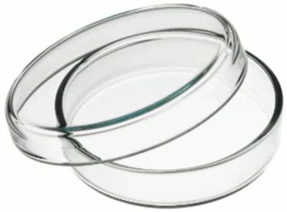 90mm Petri Dish