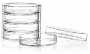 90mm Petri Dish - Image 3